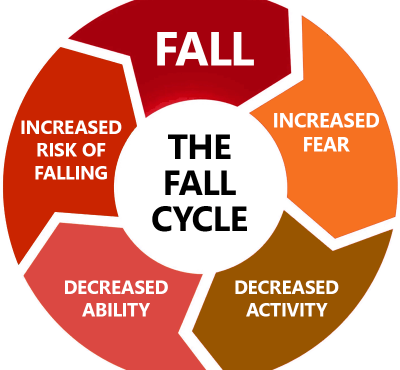 Fall Cycle
