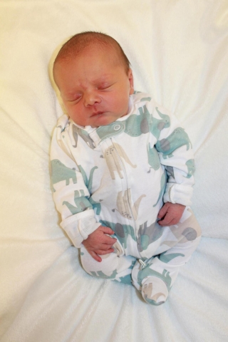 Hudson Lee