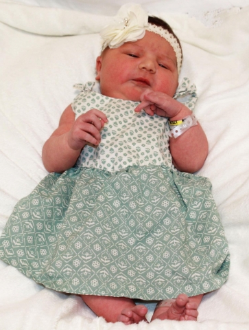 Kinsley Jane