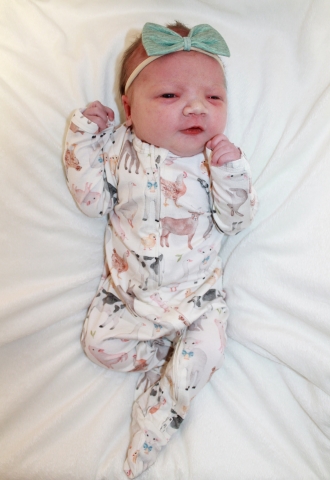 MaeveMae