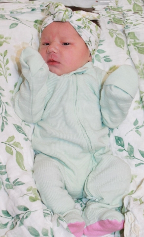 Alayna Ella Ann