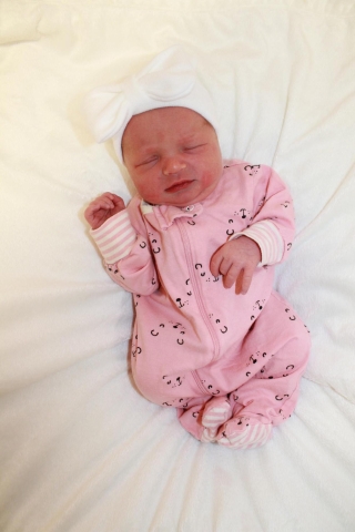 Aria Grace
