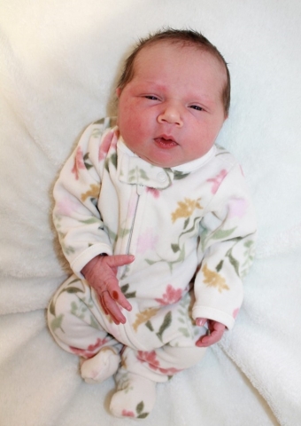 GeorgieSue