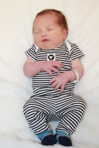 NoahMiachelRobert