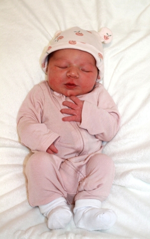 Journee